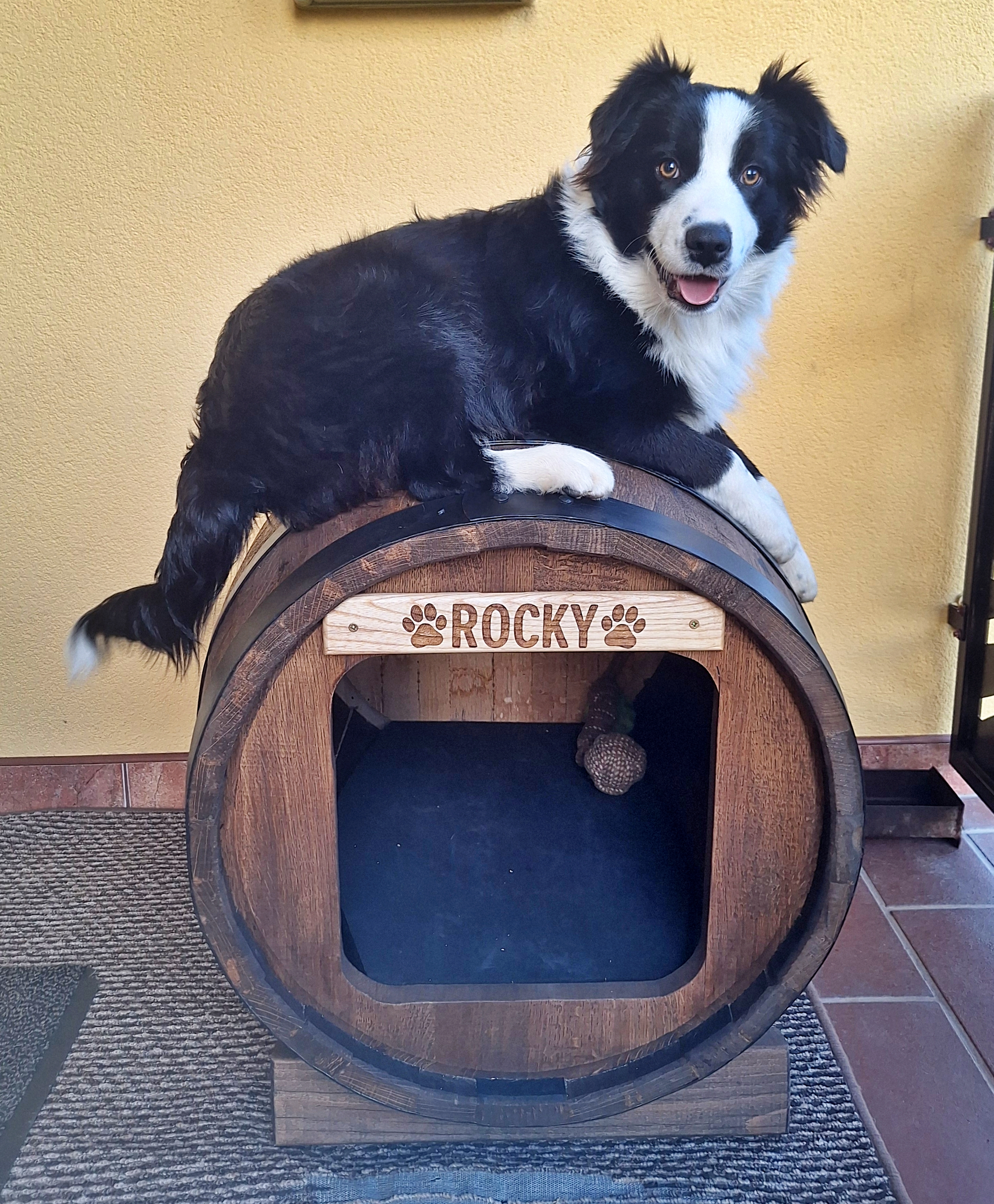 150 literes hordóból készült kutyaház boldog tulajdonosa